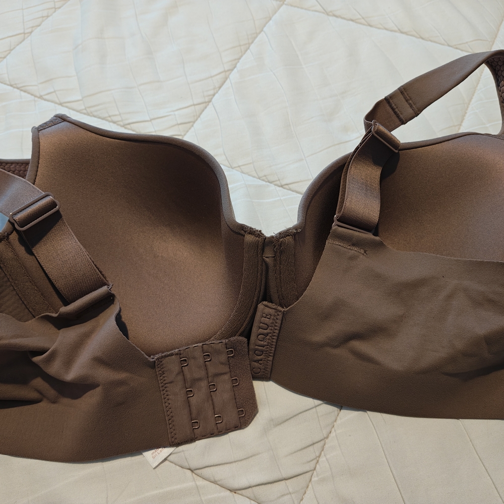 Cacique Taupe T-Shirt Bra with Adjustable Straps 38C - Picture 3 of 4